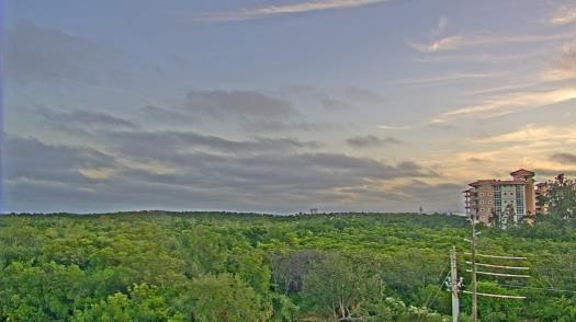 Weather camera view of WTSP-TV.