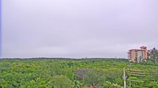 Weather camera view of WTSP-TV.