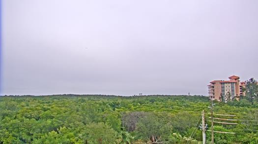 Weather camera view of WTSP-TV.