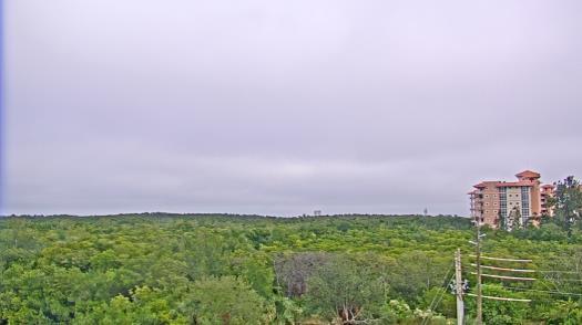 Weather camera view of WTSP-TV.