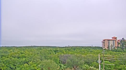 Weather camera view of WTSP-TV.