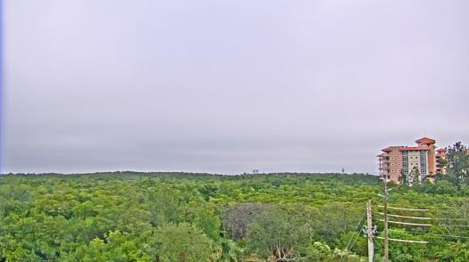 Weather camera view of WTSP-TV.