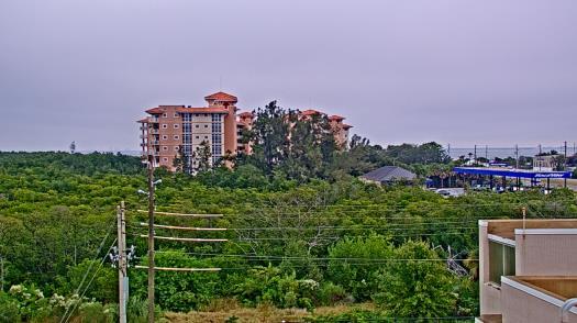 Weather camera view of WTSP-TV.
