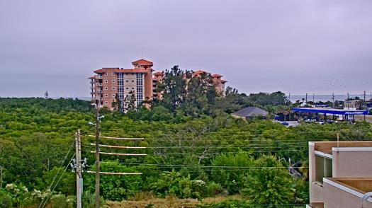 Weather camera view of WTSP-TV.