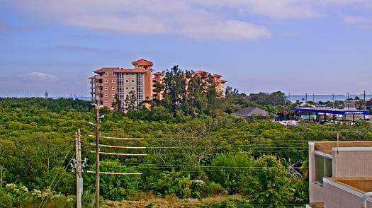 Weather camera view of WTSP-TV.