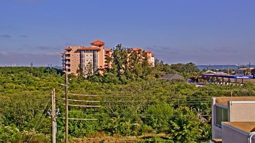 Weather camera view of WTSP-TV.