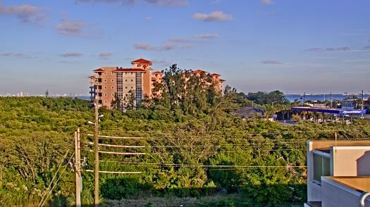 Weather camera view of WTSP-TV.