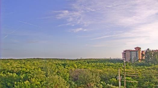 Weather camera view of WTSP-TV.