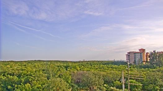 Weather camera view of WTSP-TV.