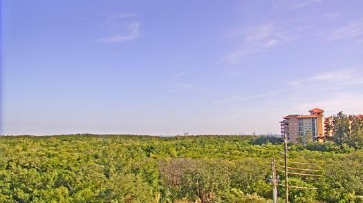 Weather camera view of WTSP-TV.