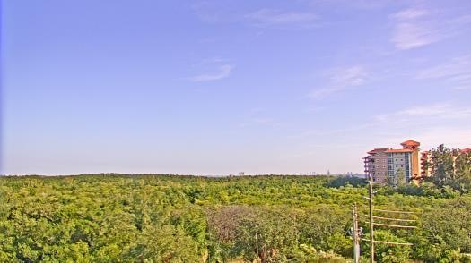 Weather camera view of WTSP-TV.