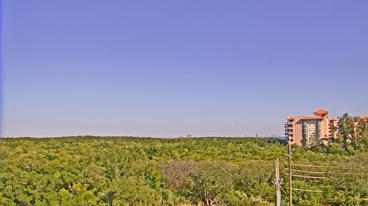 Weather camera view of WTSP-TV.