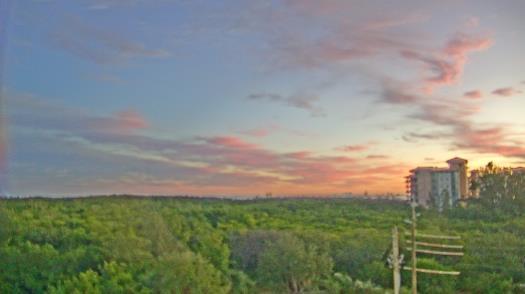 Weather camera view of WTSP-TV.