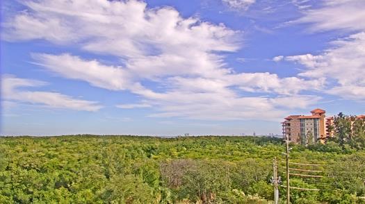 Weather camera view of WTSP-TV.