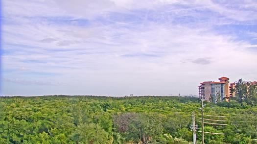 Weather camera view of WTSP-TV.