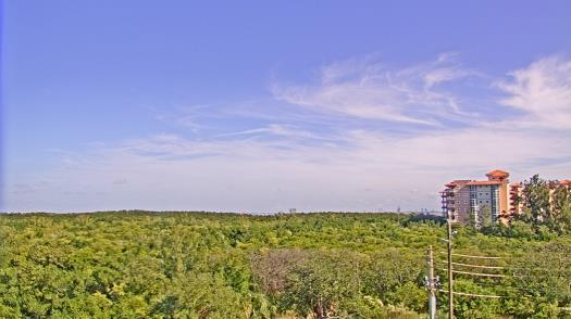 Weather camera view of WTSP-TV.