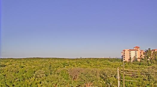 Weather camera view of WTSP-TV.