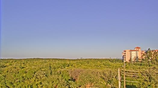 Weather camera view of WTSP-TV.