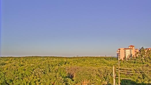 Weather camera view of WTSP-TV.