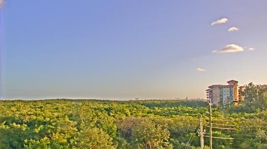 Weather camera view of WTSP-TV.