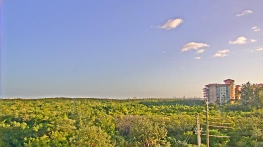 Weather camera view of WTSP-TV.