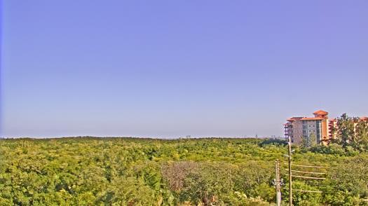 Weather camera view of WTSP-TV.