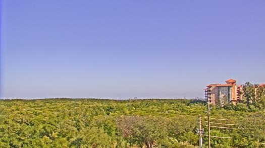 Weather camera view of WTSP-TV.