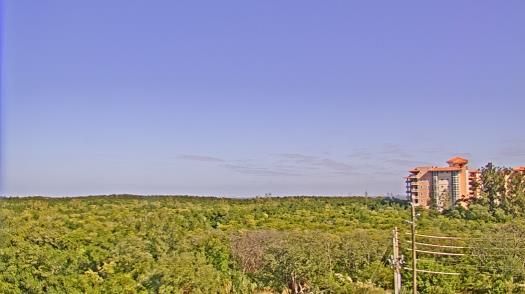 Weather camera view of WTSP-TV.