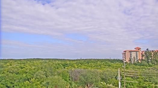 Weather camera view of WTSP-TV.