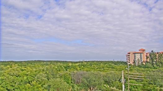 Weather camera view of WTSP-TV.