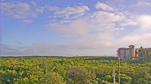 Weather camera view of WTSP-TV.