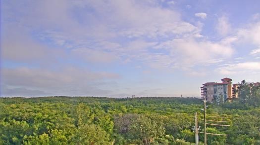 Weather camera view of WTSP-TV.