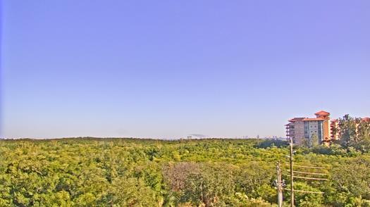 Weather camera view of WTSP-TV.