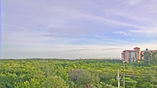 Weather camera view of WTSP-TV.