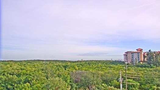 Weather camera view of WTSP-TV.