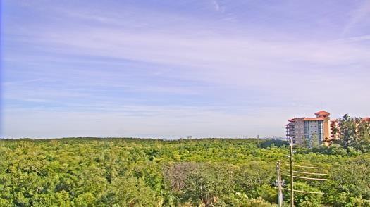 Weather camera view of WTSP-TV.