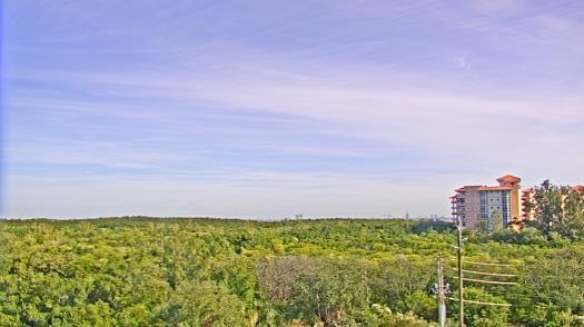 Weather camera view of WTSP-TV.