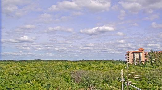 Weather camera view of WTSP-TV.