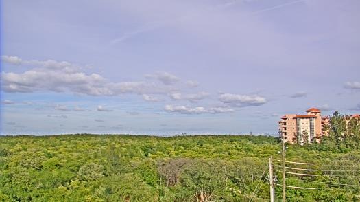 Weather camera view of WTSP-TV.