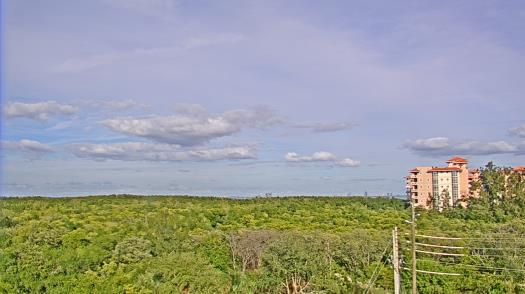 Weather camera view of WTSP-TV.