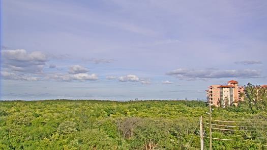 Weather camera view of WTSP-TV.