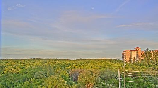 Weather camera view of WTSP-TV.