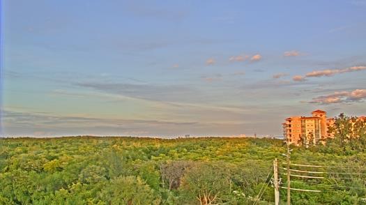 Weather camera view of WTSP-TV.