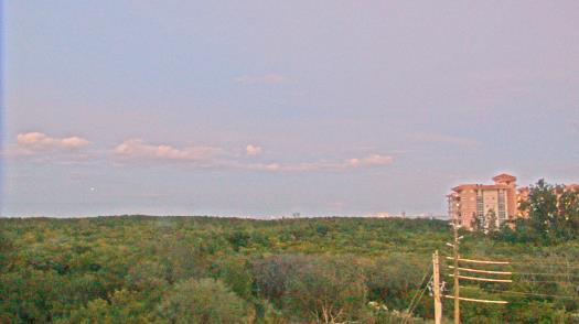 Weather camera view of WTSP-TV.