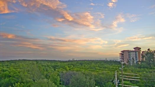 Weather camera view of WTSP-TV.