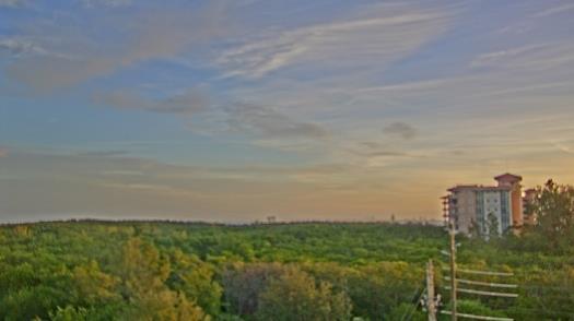 Weather camera view of WTSP-TV.