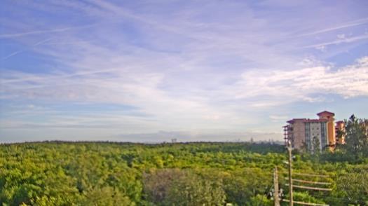 Weather camera view of WTSP-TV.