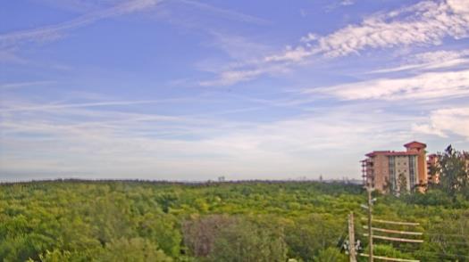 Weather camera view of WTSP-TV.