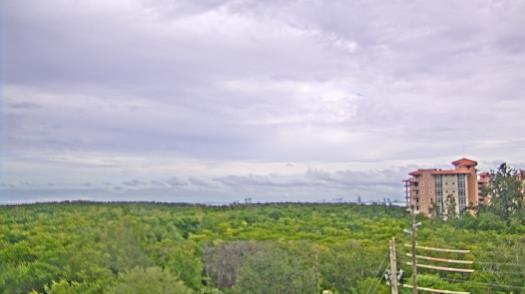 Weather camera view of WTSP-TV.