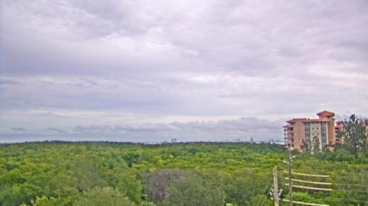 Weather camera view of WTSP-TV.